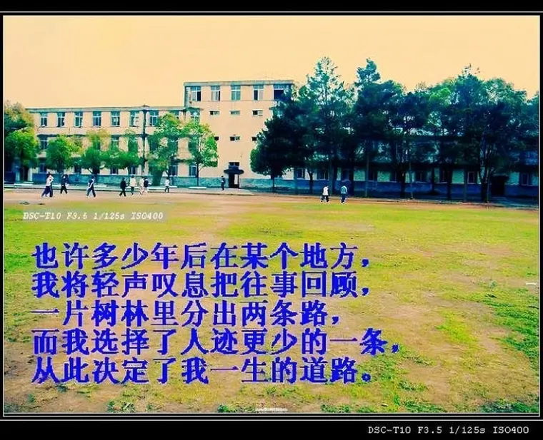 校园一角 · 未选择的路
